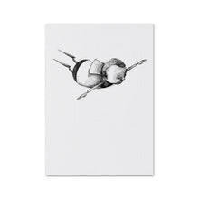 Load image into Gallery viewer, Greeting Cards - Set of 6